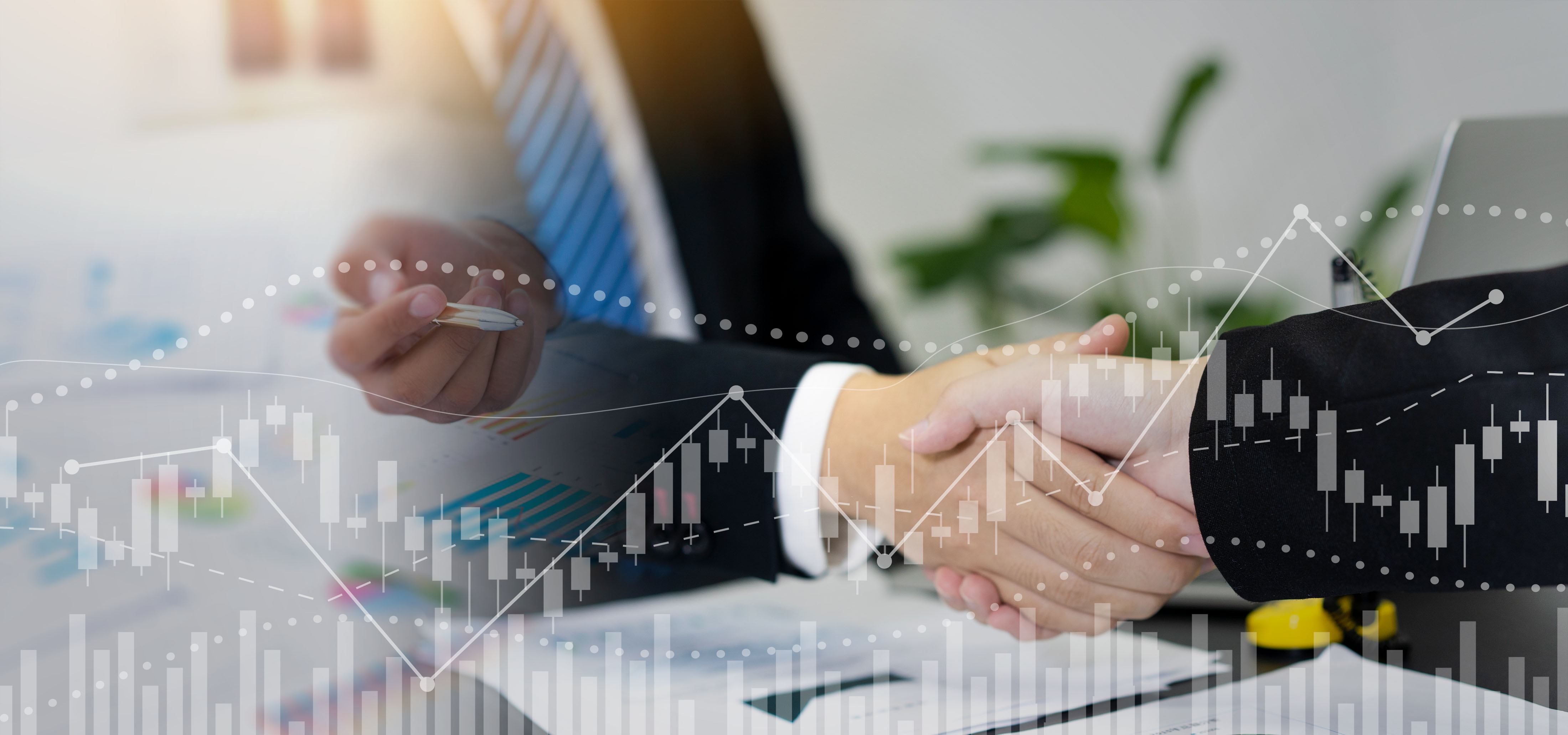 一般纳税人申请